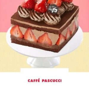 파스쿠찌 케이크 23%할인 파스쿠치 홀케이크