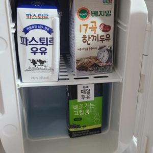 미니 냉장고 온장고 차량용 휴대용 냉장고 캠핑 냉장고 새것