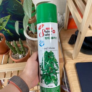 씽씽플러스 식물 잎광택제