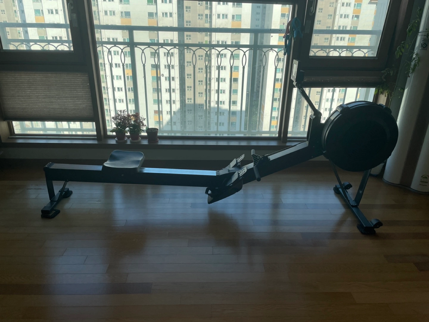 로잉머신 짭셉 2 | 당근 중고거래 로잉머신 짭셉 2 | 당근 중고거래