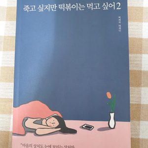 죽고 싶지만 떡볶이는 먹고 싶어 2 에세이책