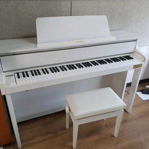 카시오 gp300 디지털피아노