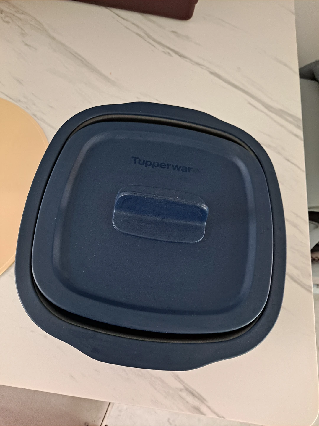 타파웨어스마트그릴 당근마켓 중고거래