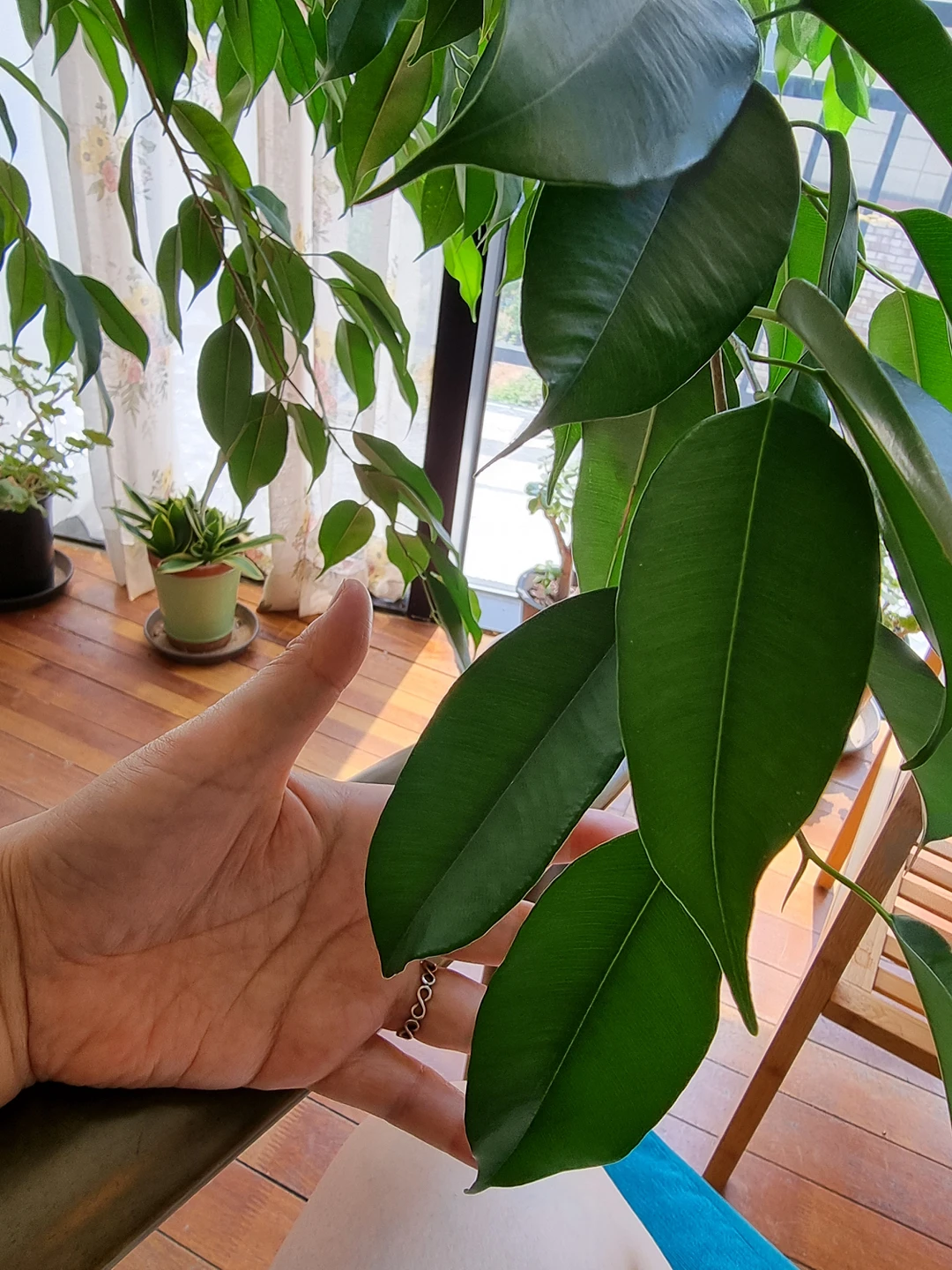 카페코히 picture 5