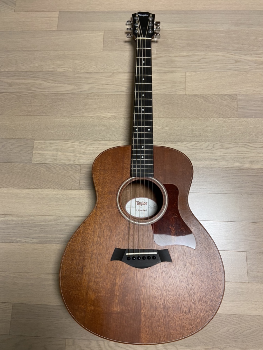 gs-mini