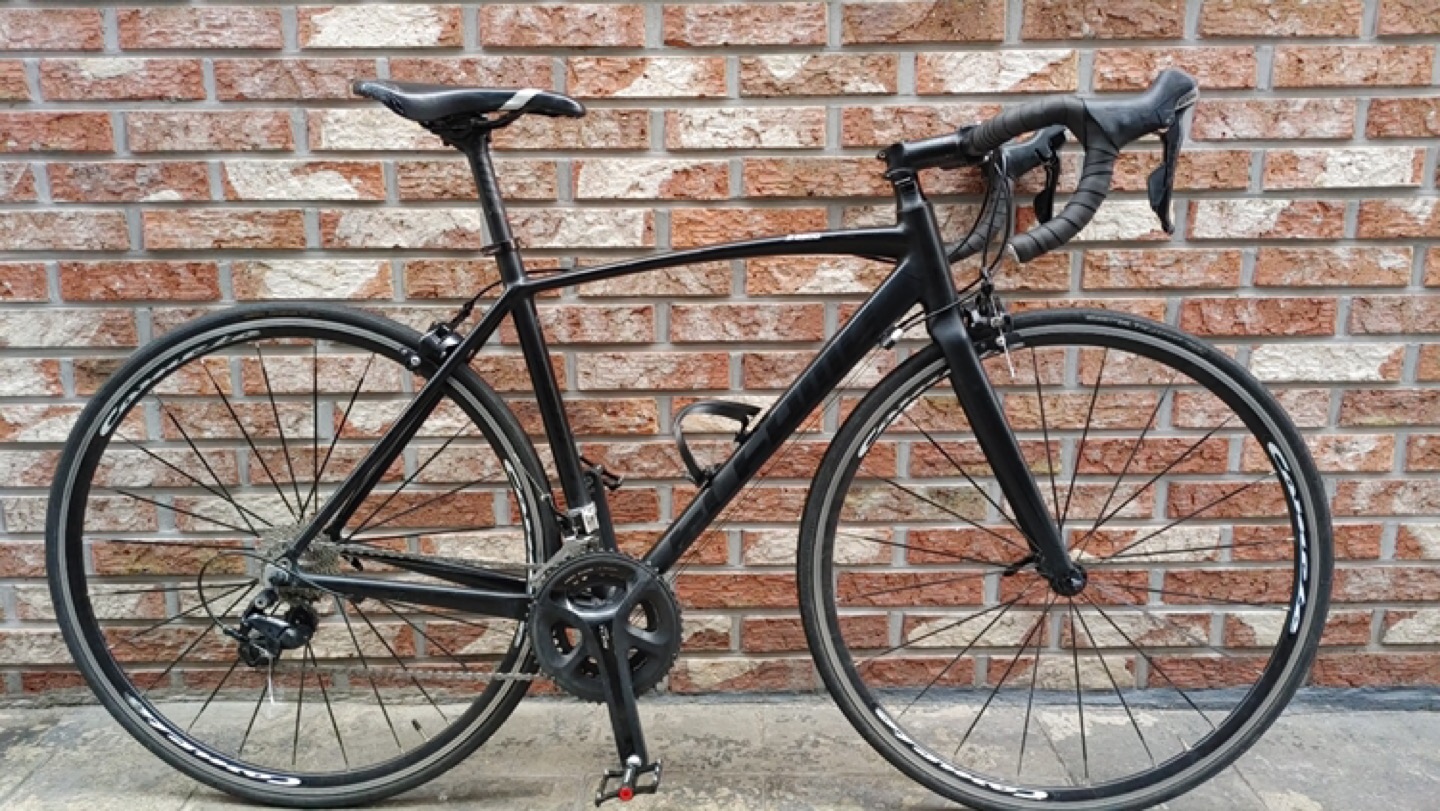 177 자전거 사이즈 55