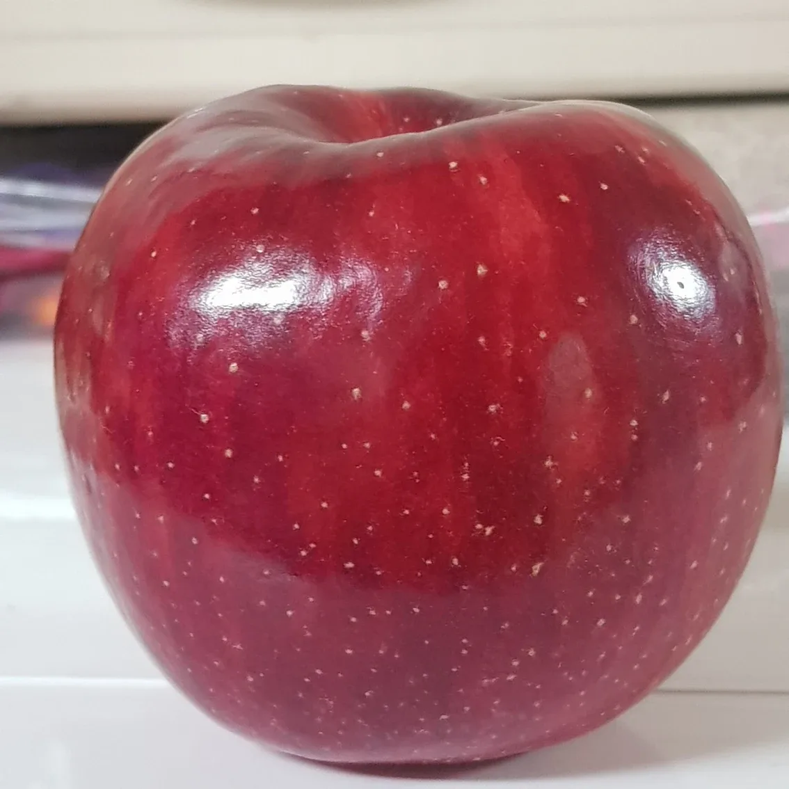 트랙터구해봅니다