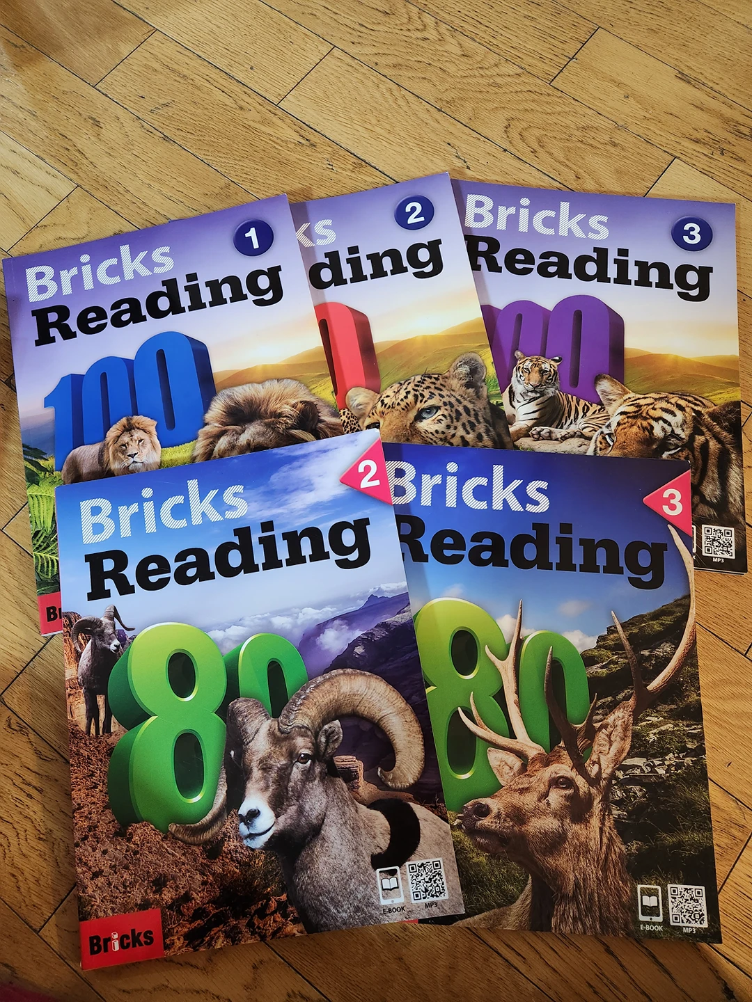 80-2-3-1