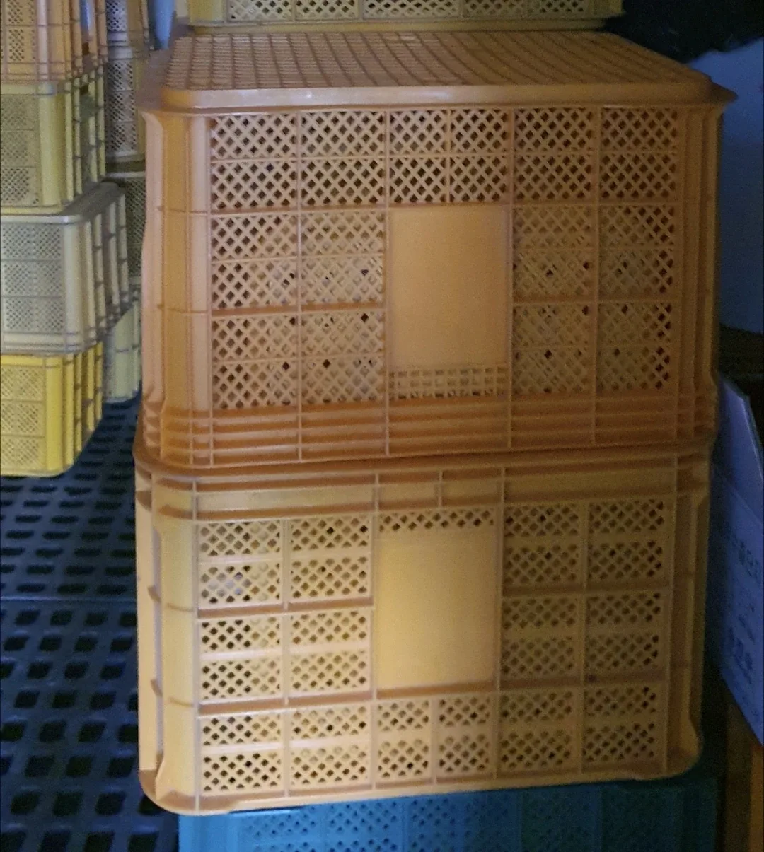 중고사과상자 100개