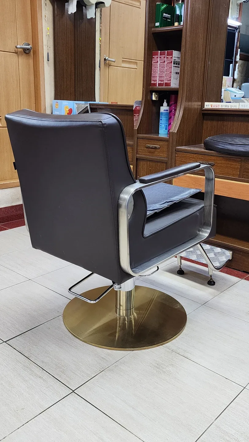 전문가용 의자 팝니다.