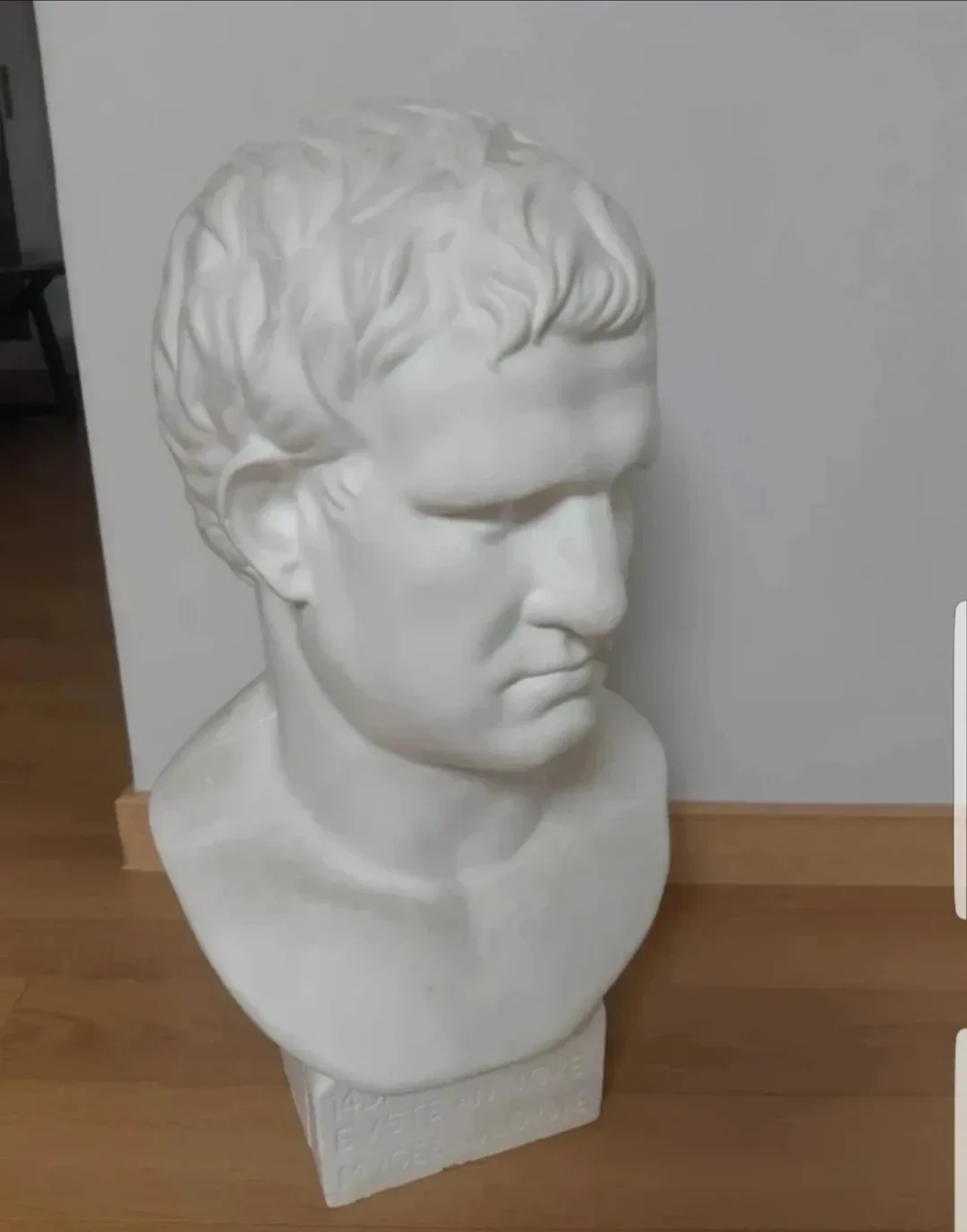 아그리파 석고상 (대형)