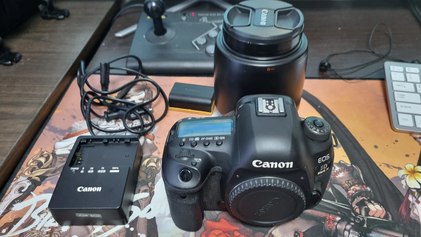 5d mark4 오두막4 EF ... | 당근 중고거래