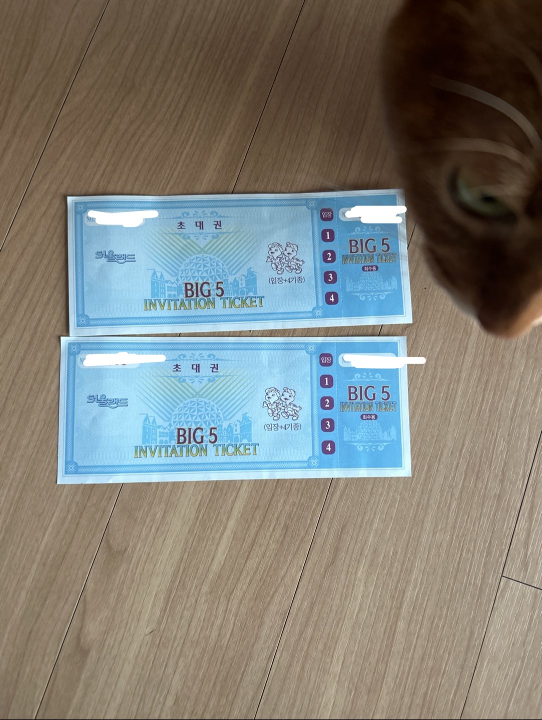 big-5