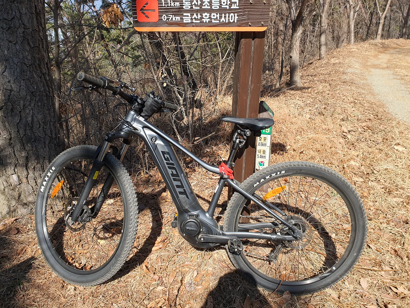 e mtb ebay