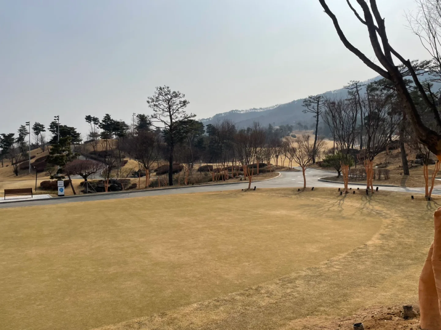 롯데. 신세계. 상품권삽니다