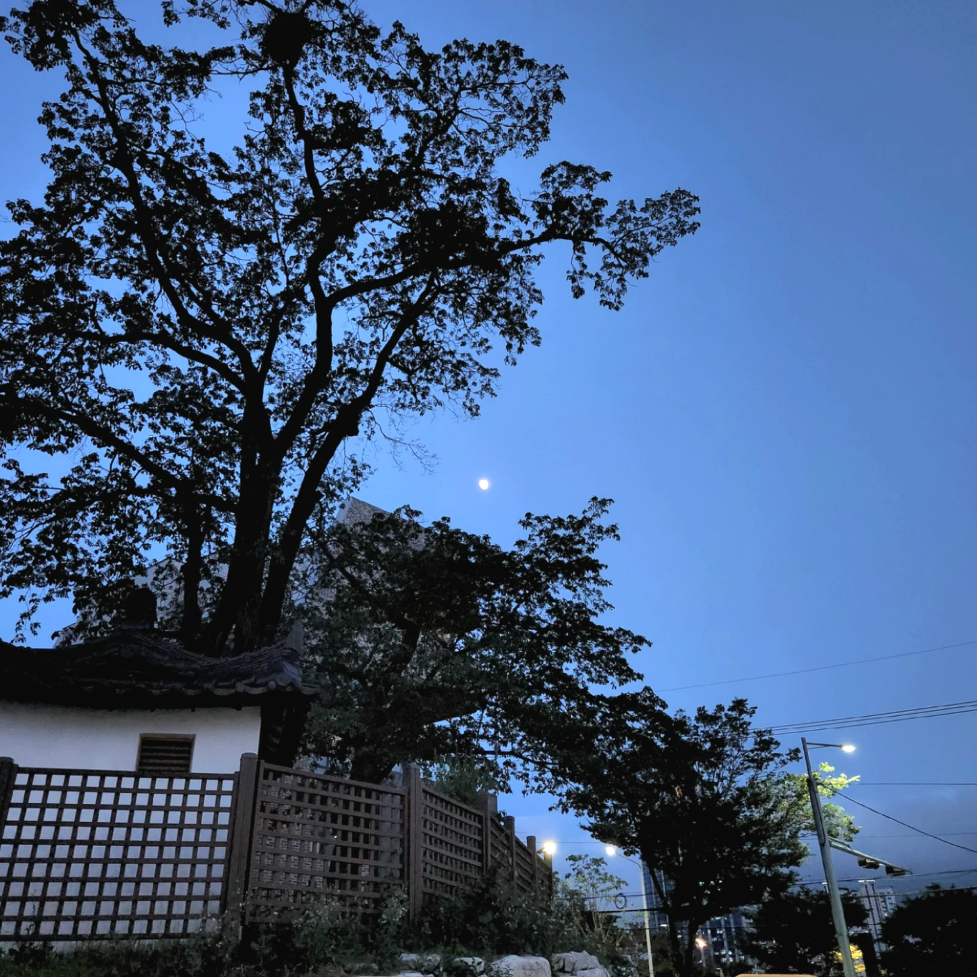 투썸플레이스 울산태화루점 picture 4