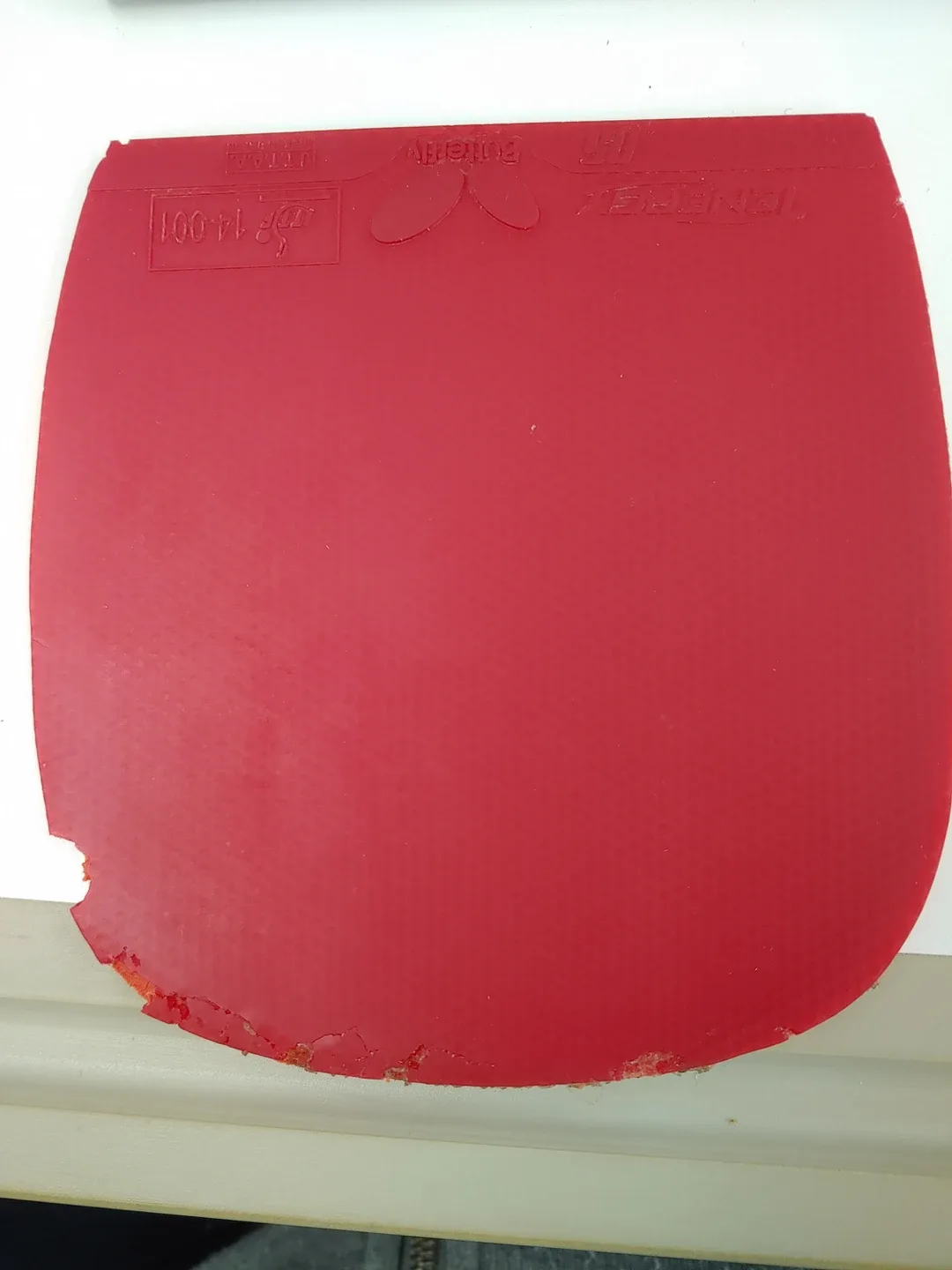 테네지 5  중고러버