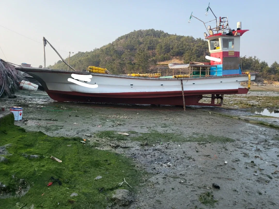 중고 6.67t  김채취선 팝니다.