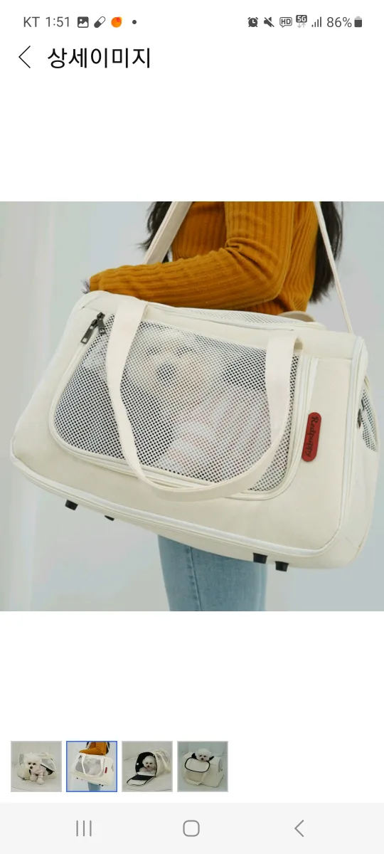 애견 캐리어가방