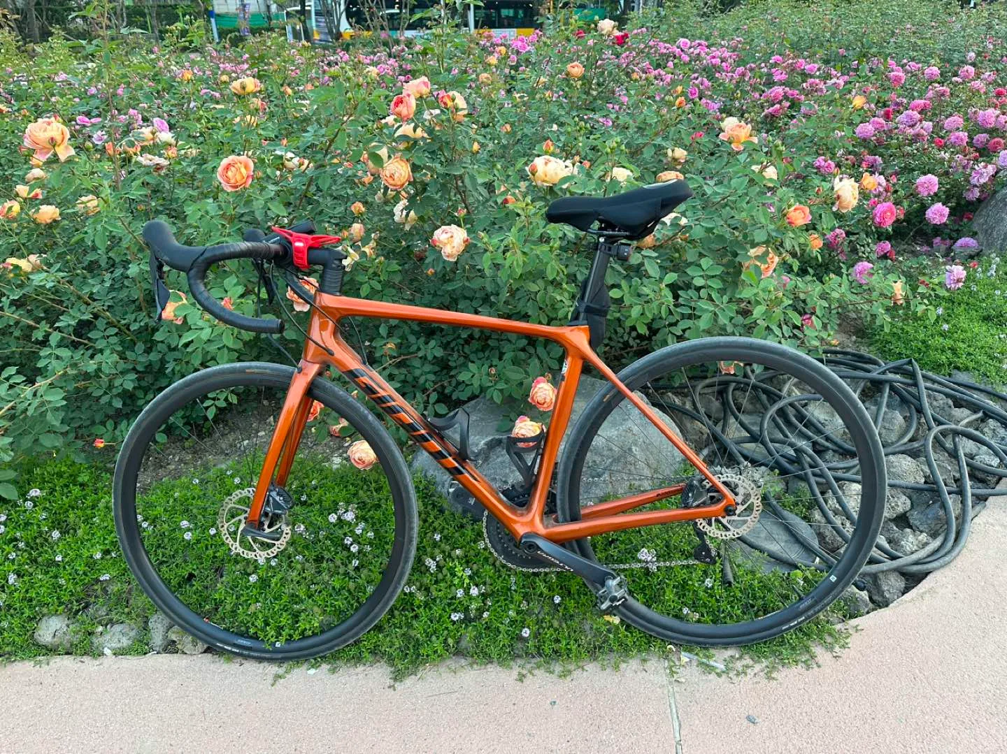 자이언트 TCR 어드밴스 1 Disc 2022 로드자전거 - 열정과 속도를 중고로 만나보세요!