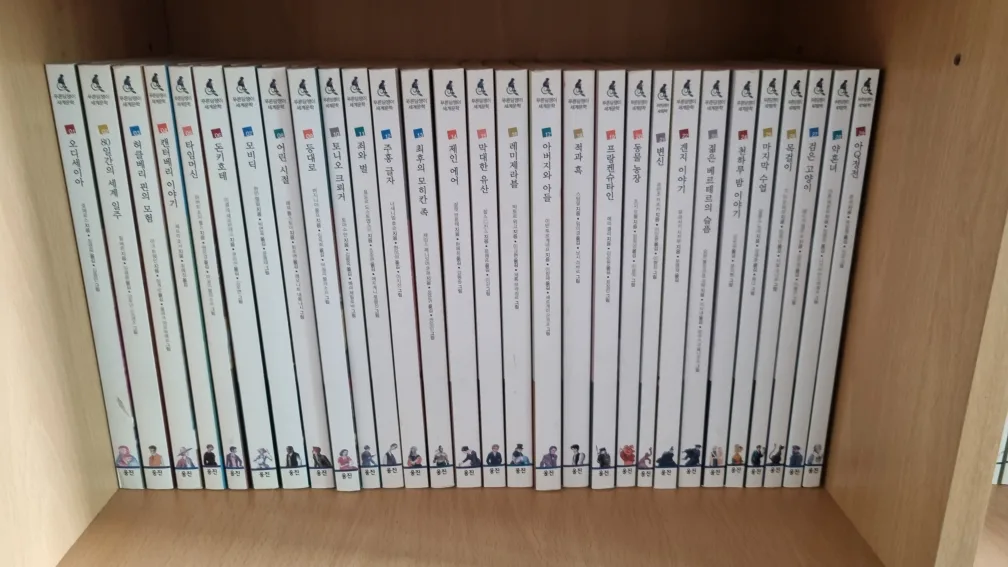 푸른담쟁이 세계문학 책 중고로 팝니다