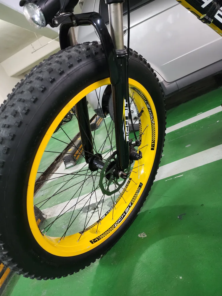 리치비트  전기  자전거