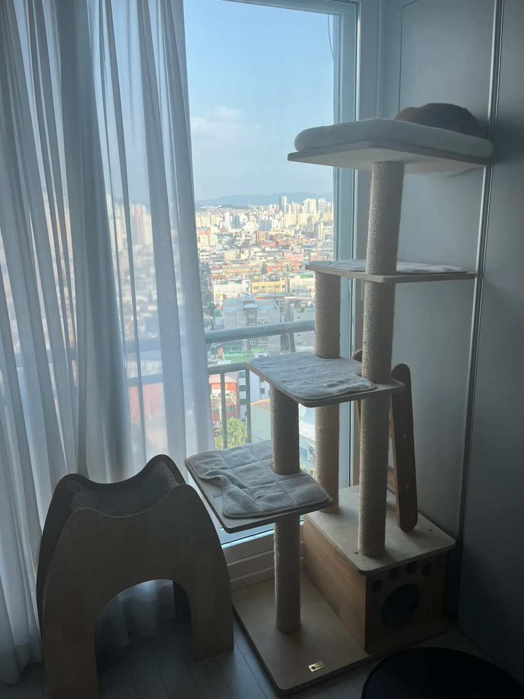 캣타워 나눔합니다. (8/26~28일 가능하신분!)