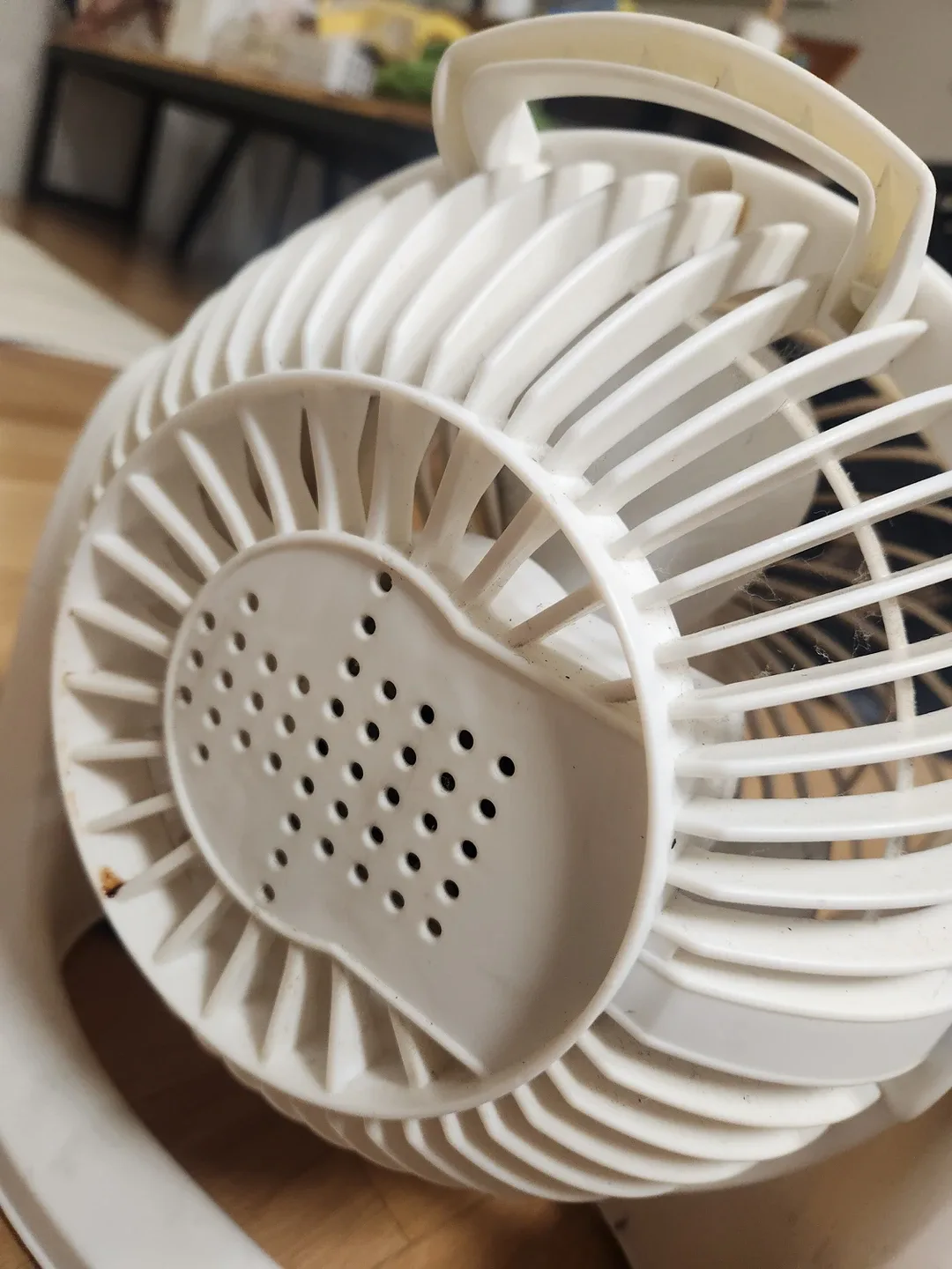 캠핑)써큘팝니다