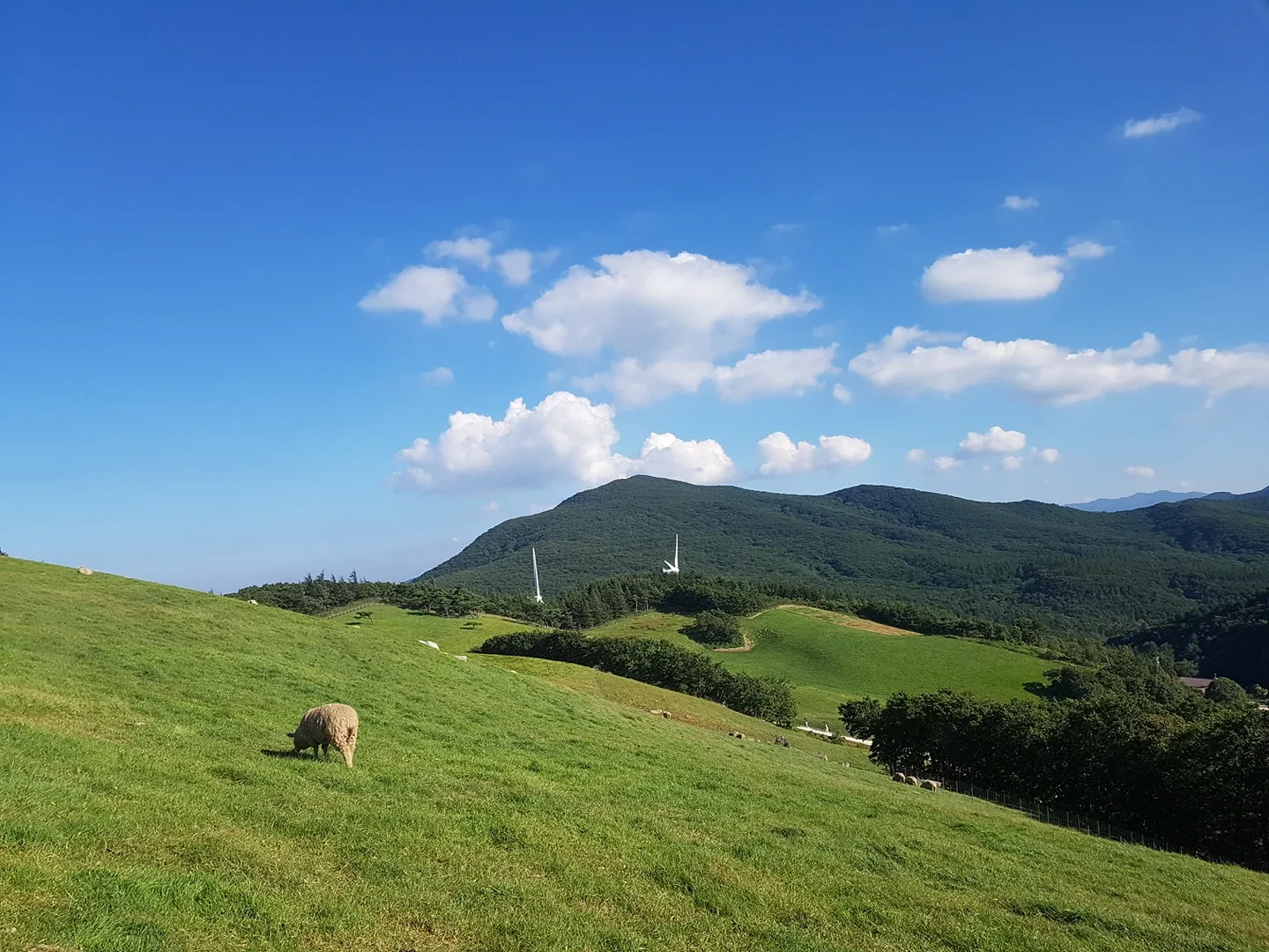 건조기 중고 판매하시려는 분 찾습니댜.