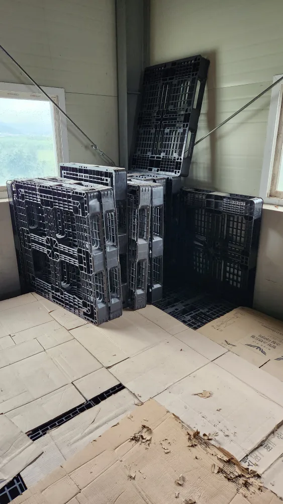 수출용 중고 파렛트 50개 싸게 팝니다.