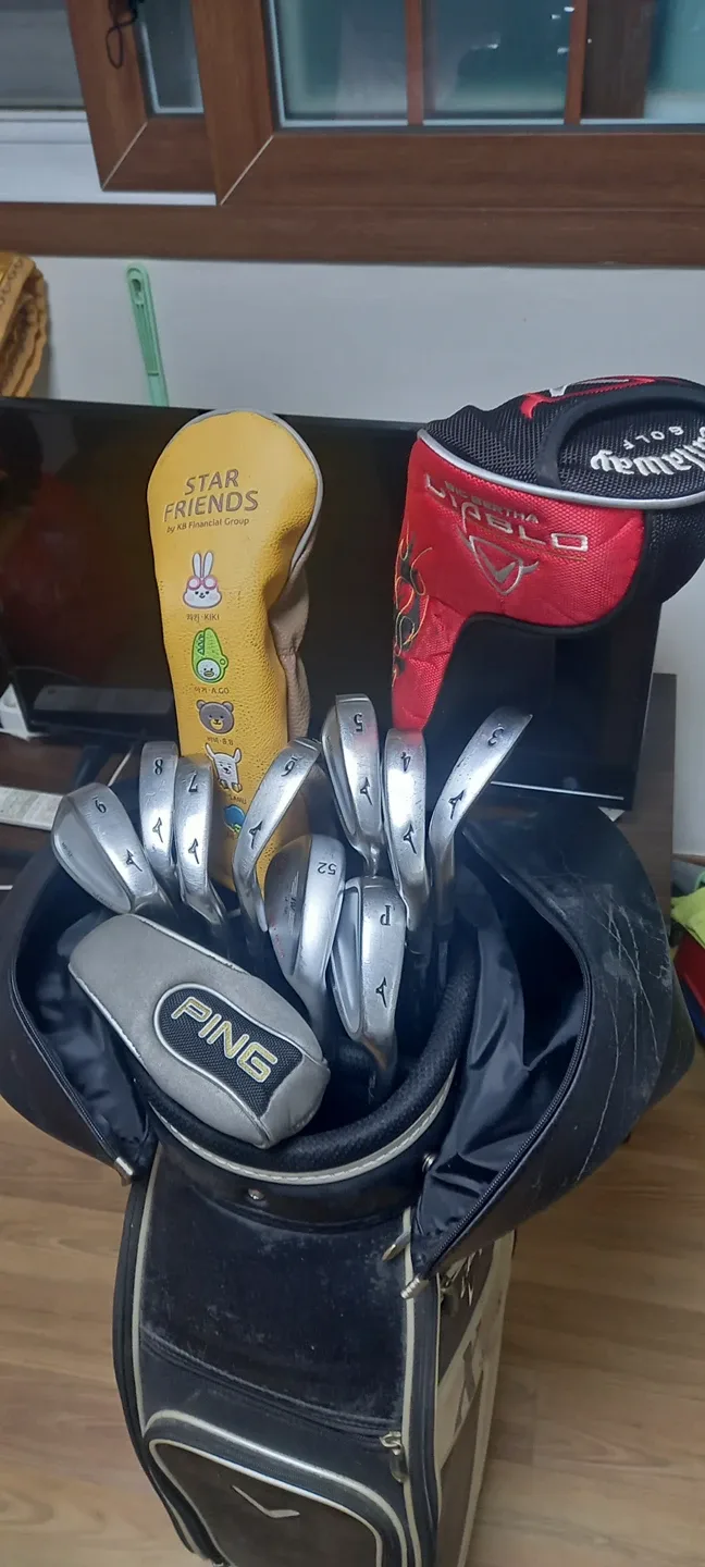 미즈노스틸 중고채