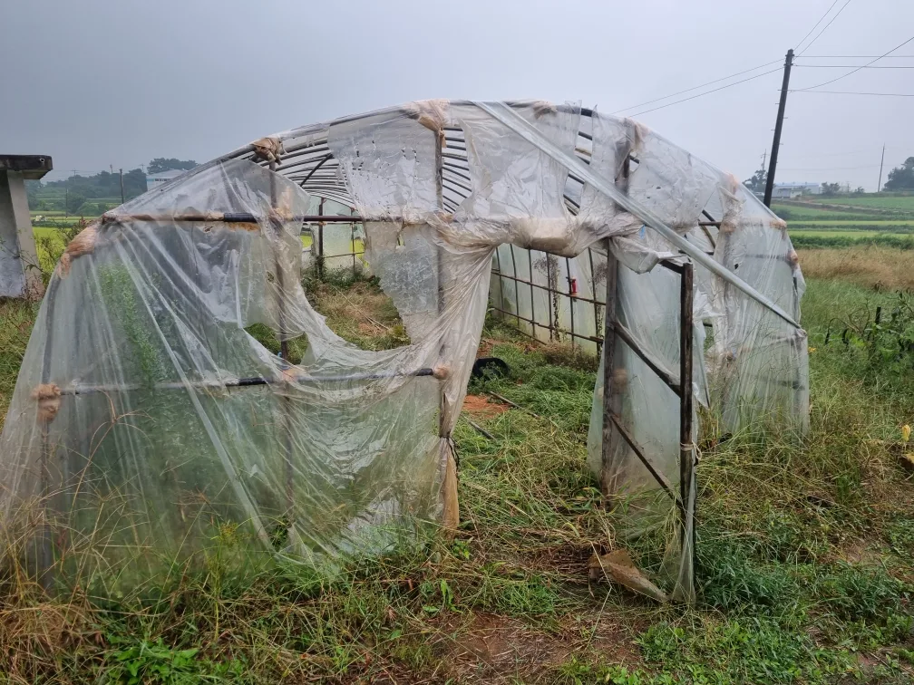 중고 비닐하우스 뼈대 팝니다.