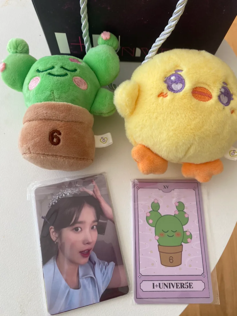 아이유 팬콘서트 역조공(그립톡 제외)