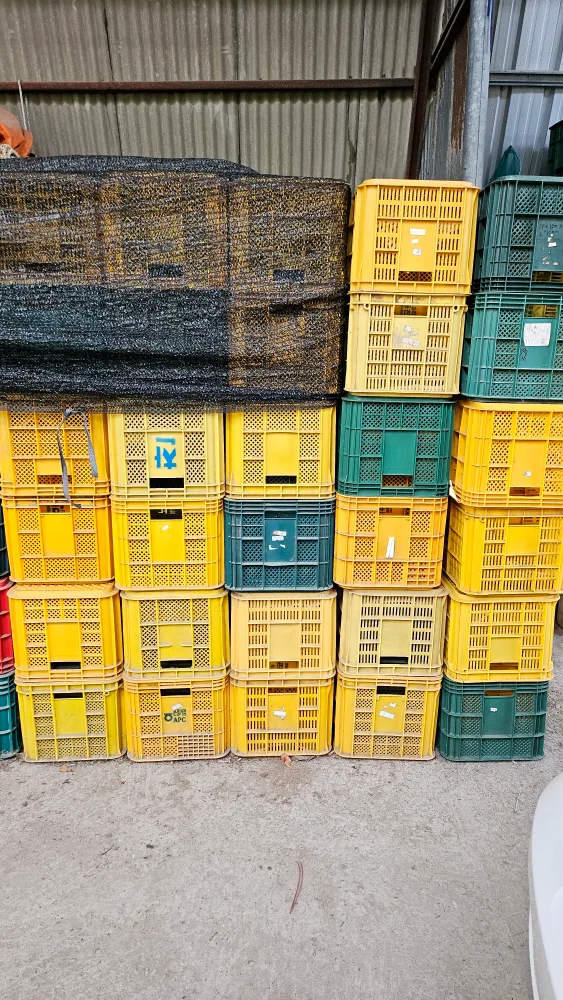 사과상자 중고 300