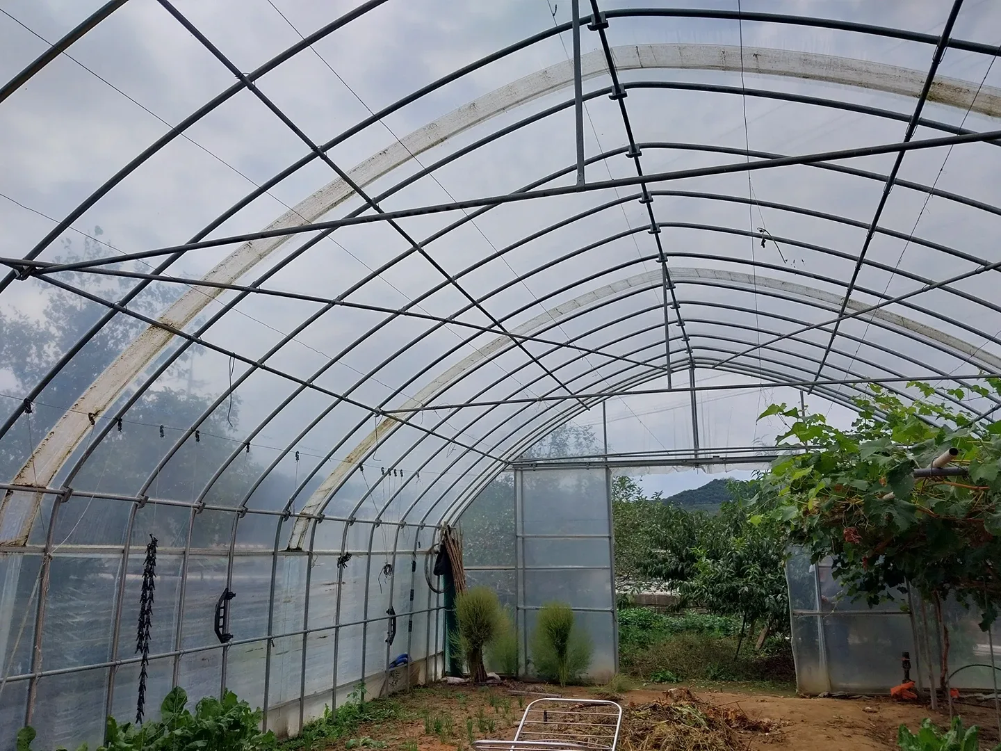 비닐하우스대  중고 판매합니다.