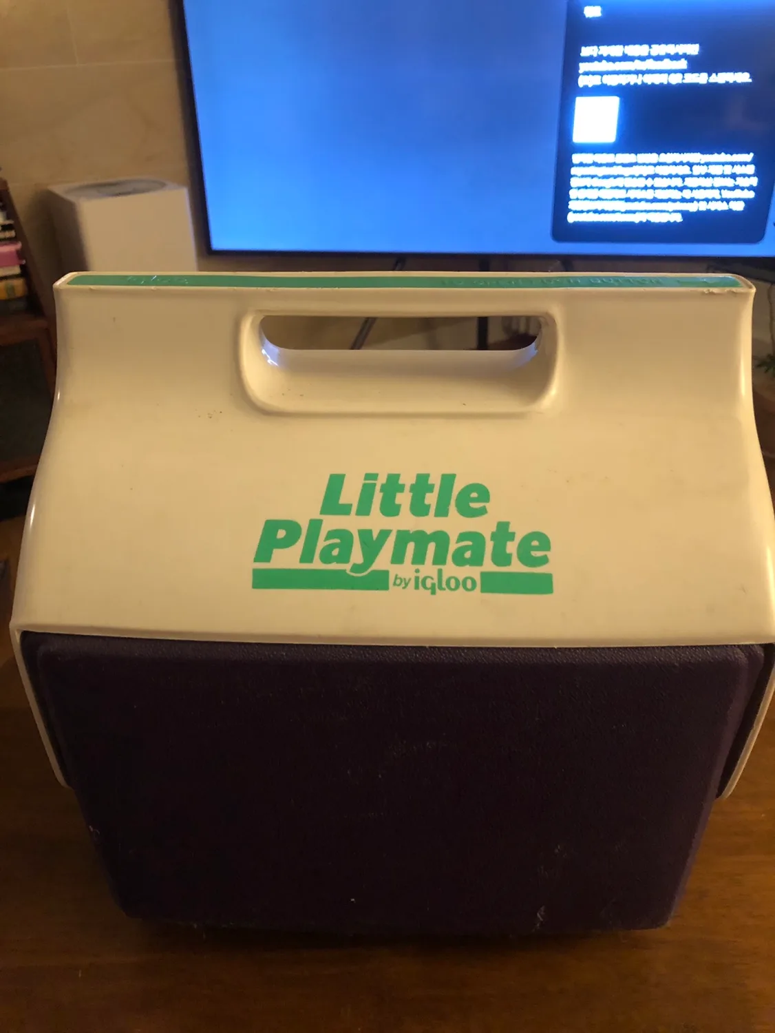 빈티지 디자인 아이스박스