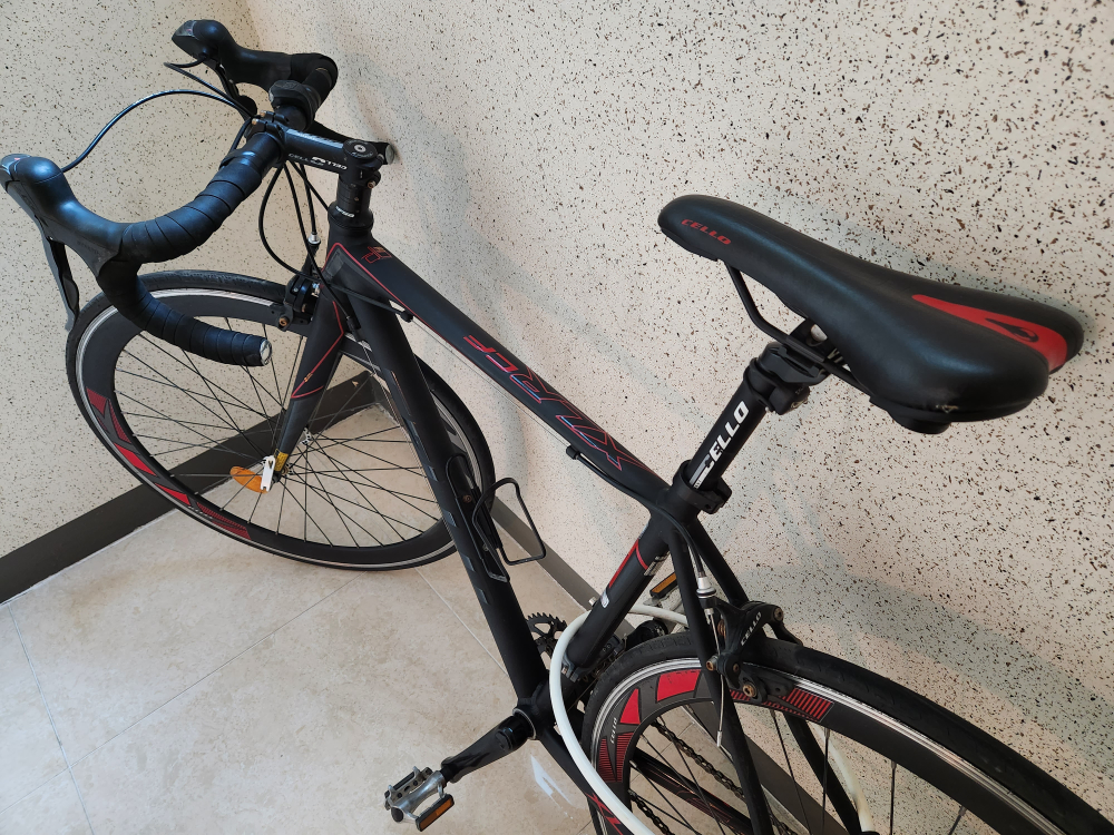 CELlO XLR CF 자전거 당근 중고거래