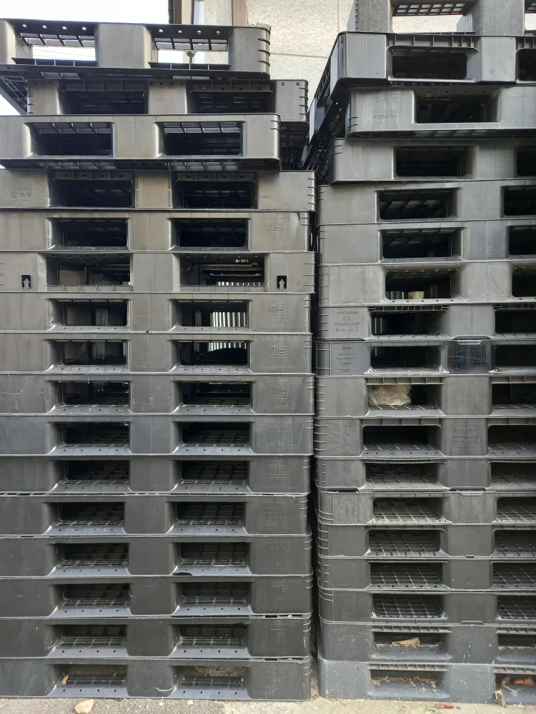 중고빠레트 10kg 50개