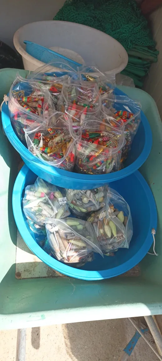 중고애기100개10000원