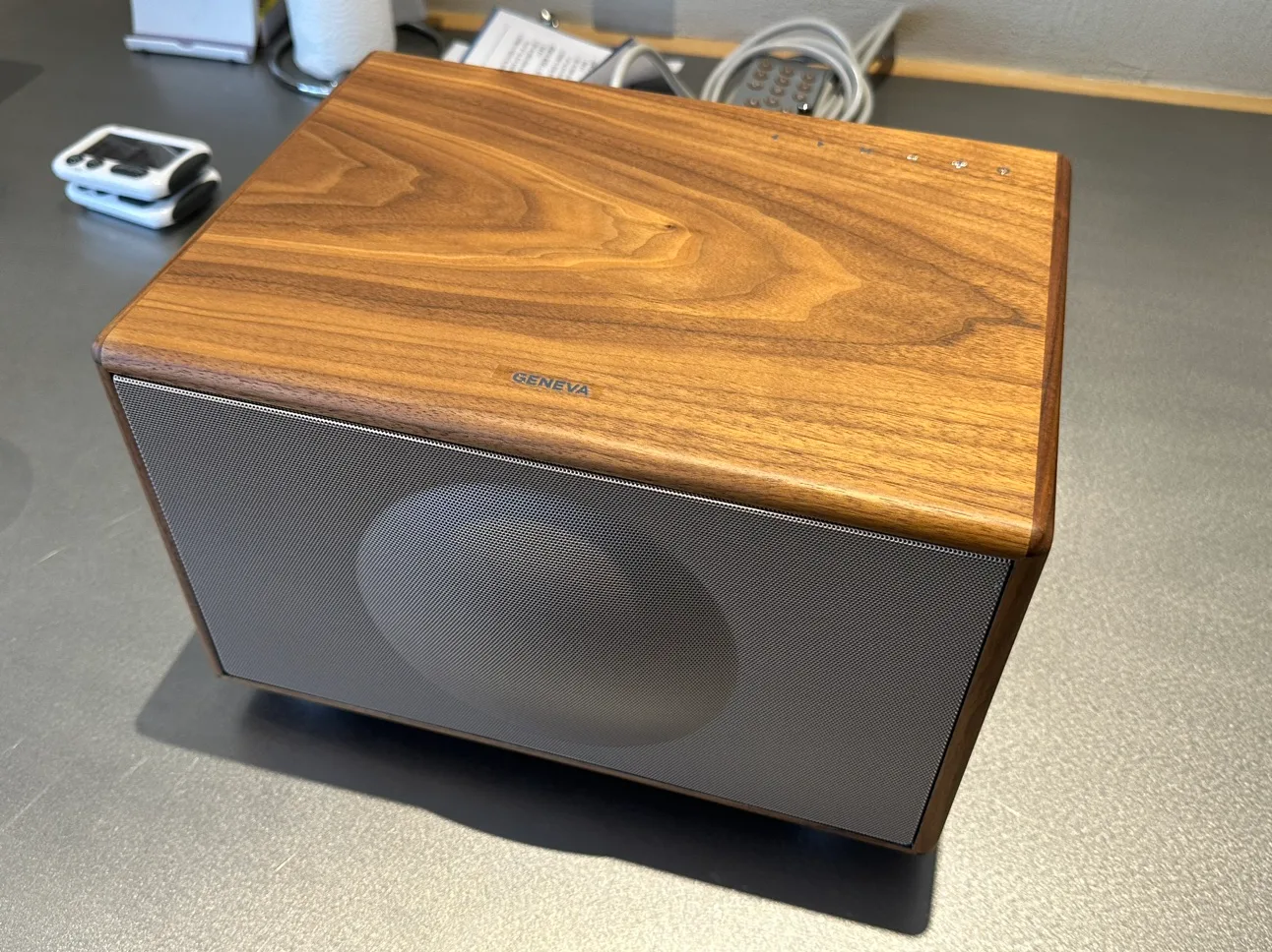 제네바m 팝니다(as기간 1년 남음)(스탠드X)