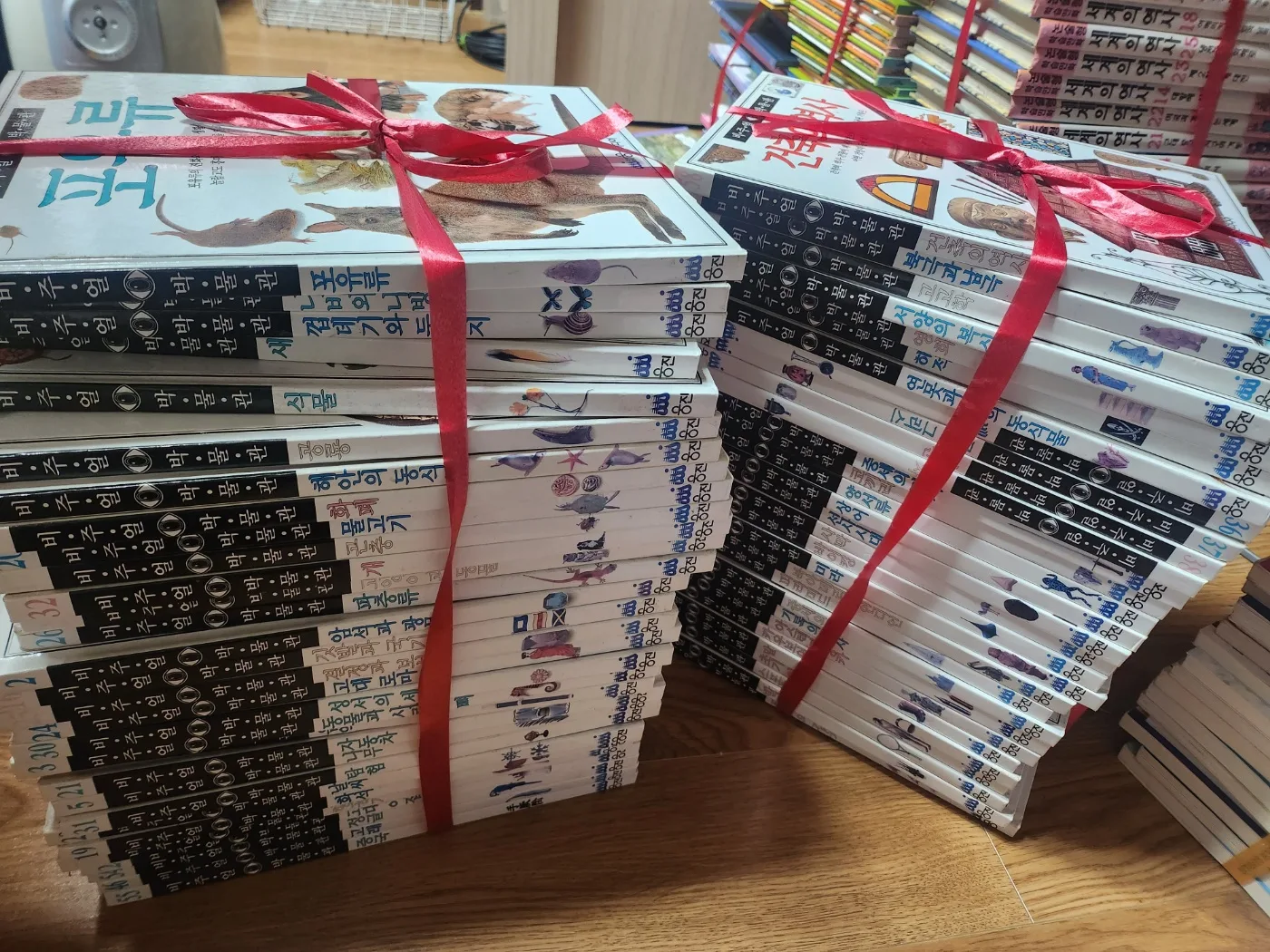 초등 중고학년 도서 (웅진 비쥬얼 박물관)