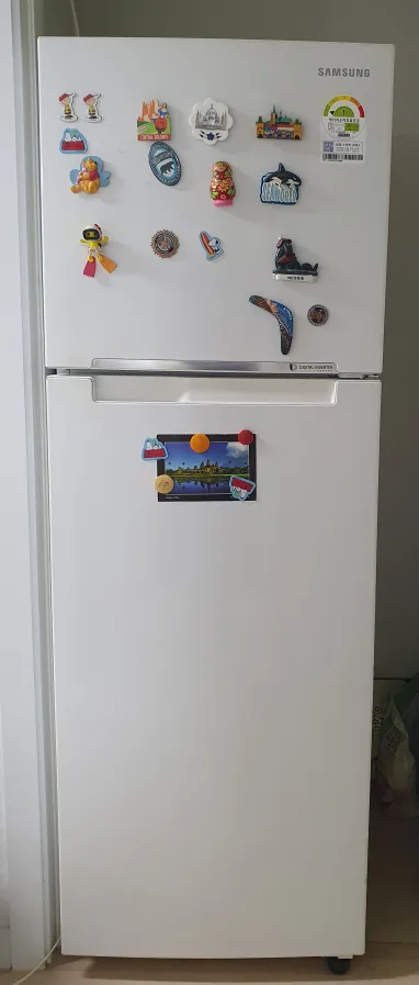 삼성냉장고 255리터(RT25FARADWW)