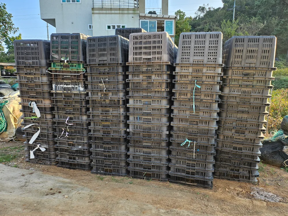 플라스틱 바구니 과일상자 수산상자 가구 개당 2000원 중고 판매