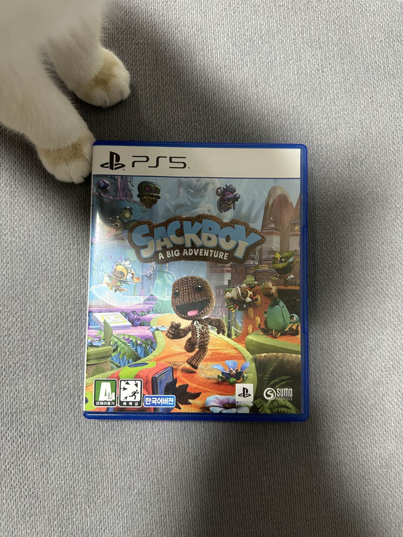 сэкбой ps5 купить