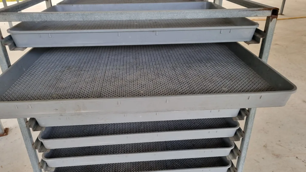 감말랭이 채반 , 다이