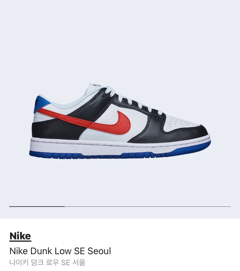 [255중고] 나이키 덩크 로우 SE 서울