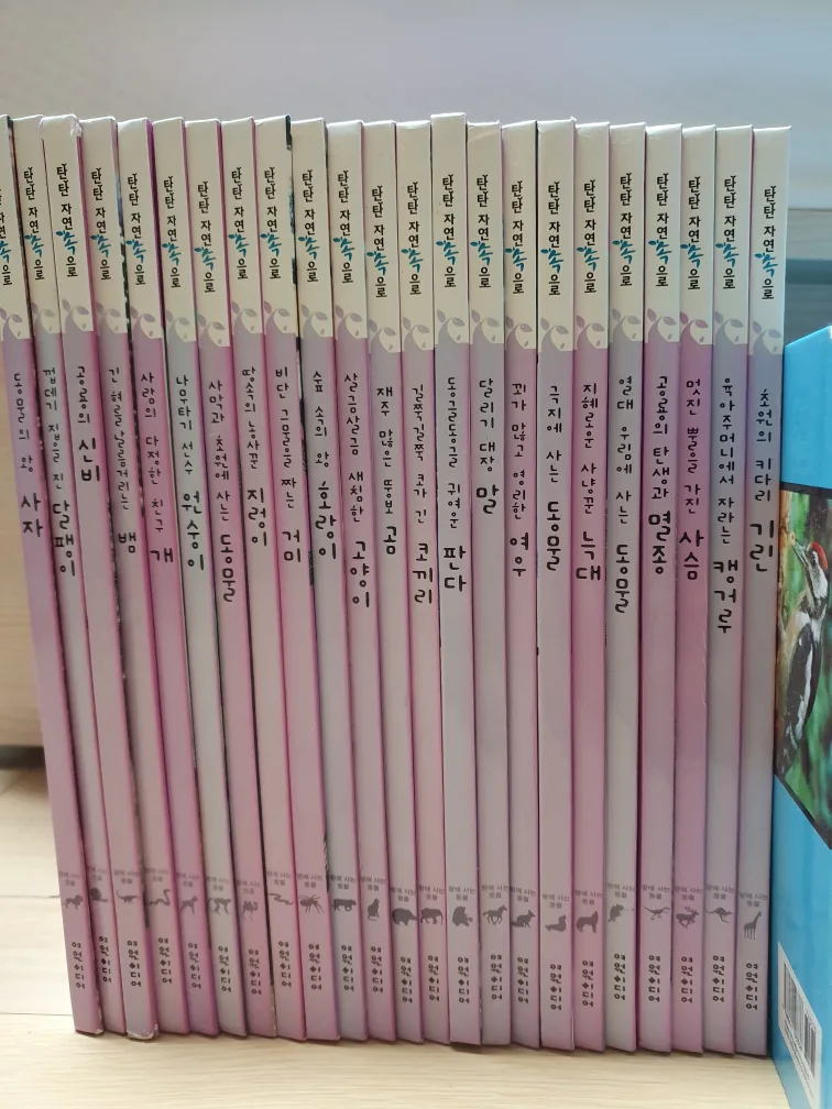 탄탄자연속으로 중고책이예요