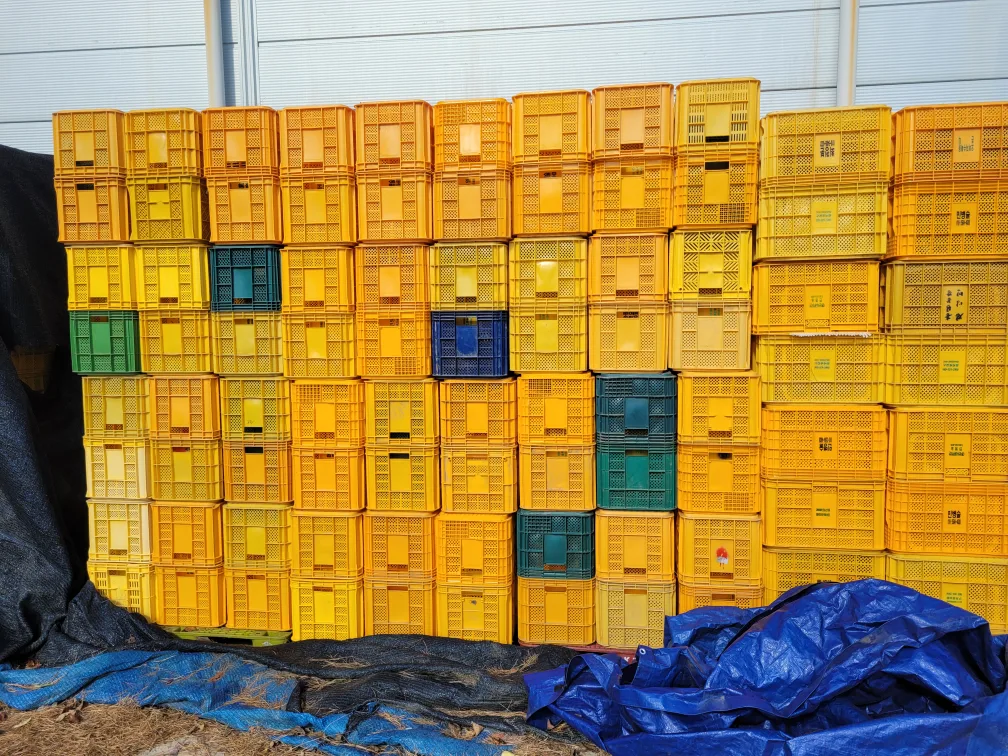 중고 콘티박스 팝니다