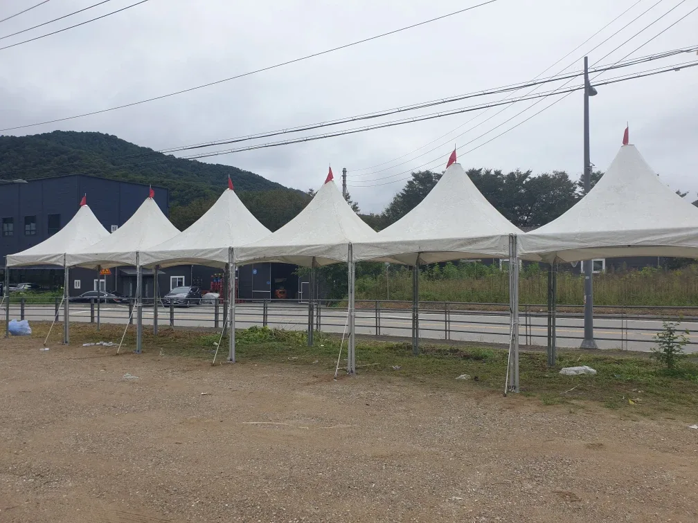 5×4M 크기의 몽골텐트 팝니다.