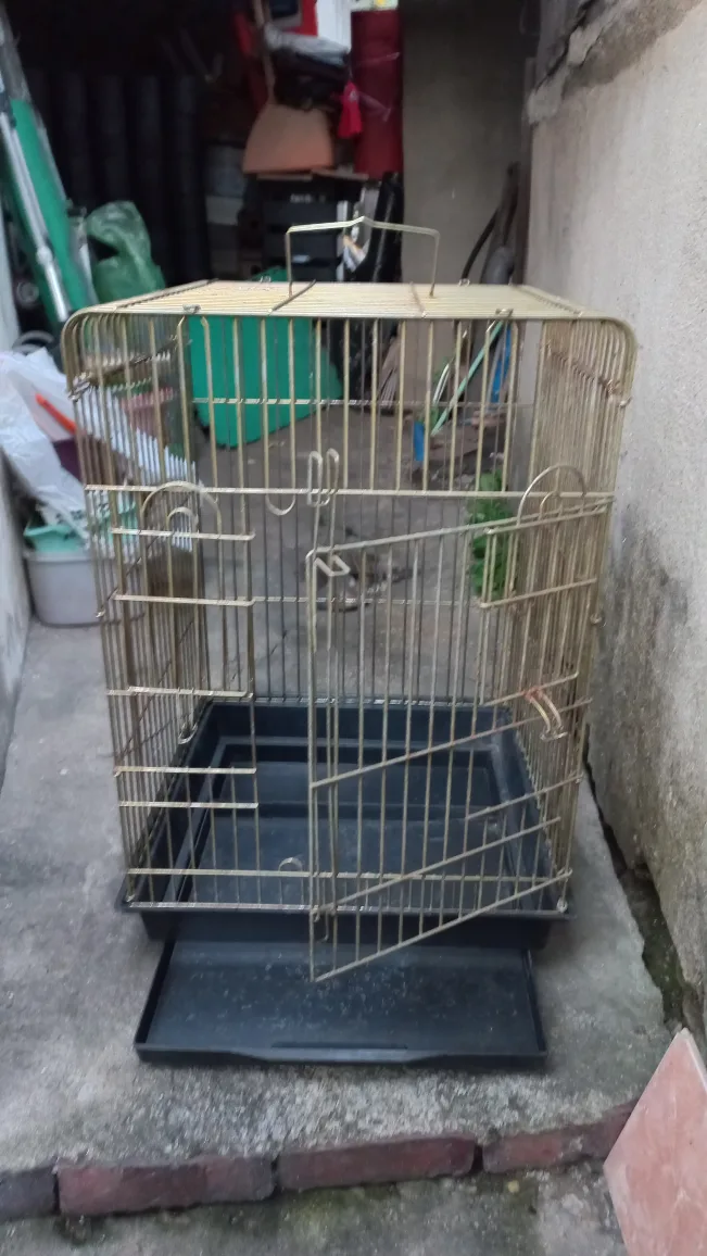 중형 새장 5천원~
